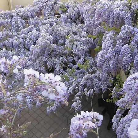 Appartement Lo Squero *